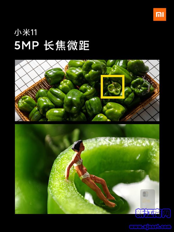 С��11��ʽ�l(f��)�����������ⶼ������������^�m(x��)����