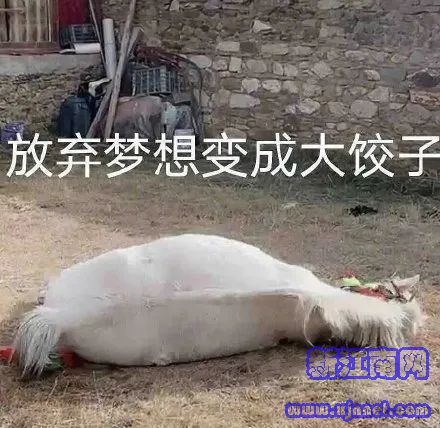 Ұкl(f)һBm(x)