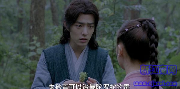 斗羅大陸第5集劇照